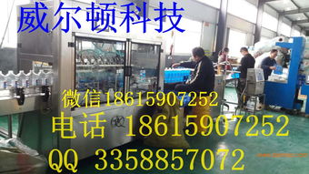 威爾頓科技 優質生產廠家、合理價格與技術轉讓全解析