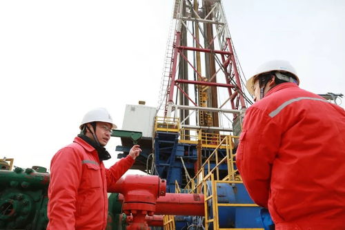 50余人的工藝攻關隊 從技術突破到創新傳承的蝶變之路